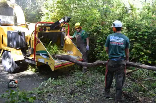 tree services West Salem